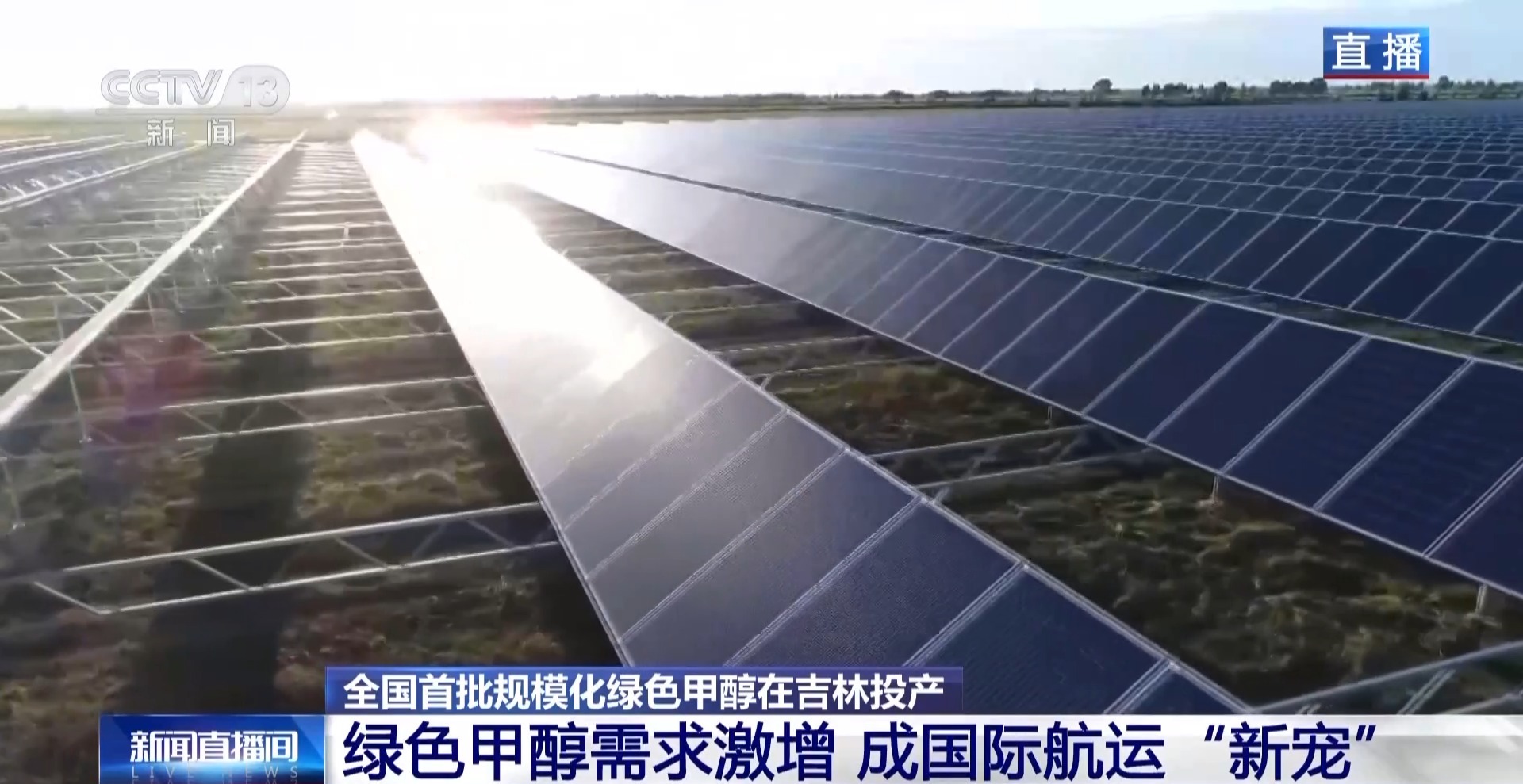 （活力中国调研行）绿进沙退的阿拉善答卷