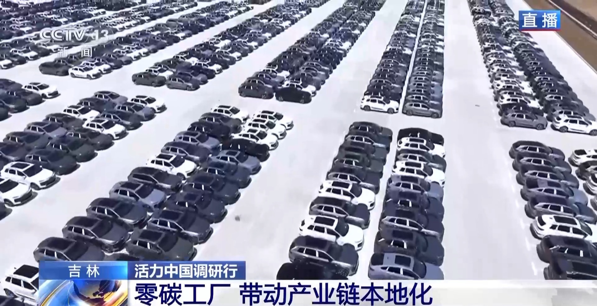 （活力中国调研行）绿进沙退的阿拉善答卷