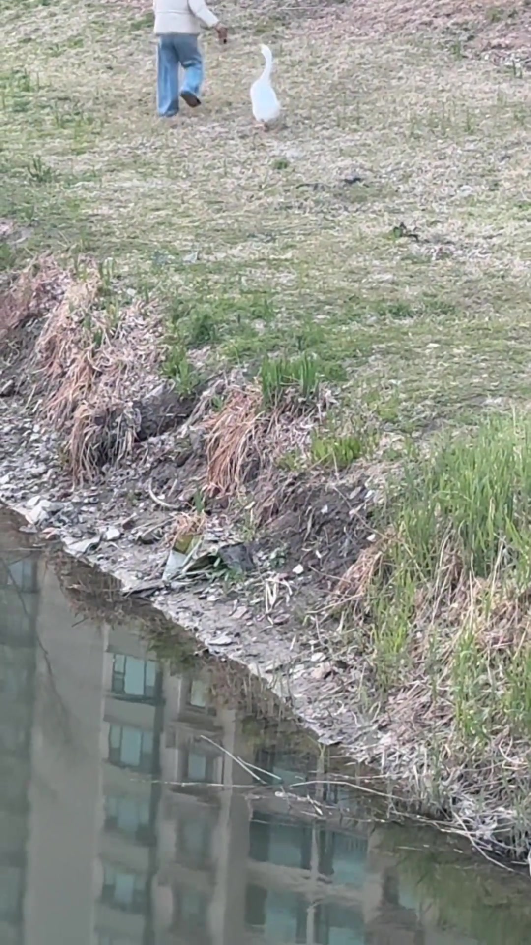 阿富汗发生6.0级地震 致至少250人死亡