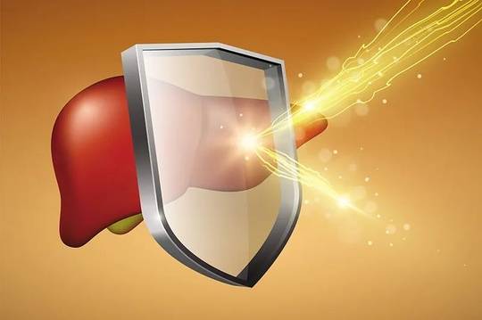 人保服务 ,人保财险政银保 _2025年熊胆粉行业市场分析:供需动态与竞争格局