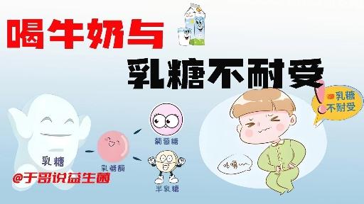 中国乳糖行业市场深度调研及发展现状、未来趋势分析2025_人保伴您前行,拥有“如意行”驾乘险,出行更顺畅!