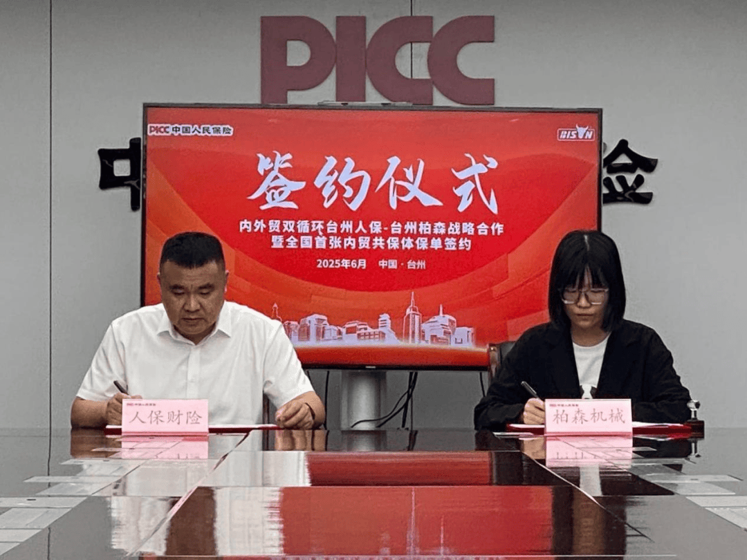 2025-2030年中国汽车保养行业：品牌连锁化与生态整合的竞争格局_人保车险,人保财险 