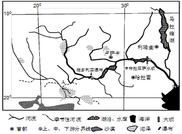 研究：热带地区植树对改善气候效果更佳