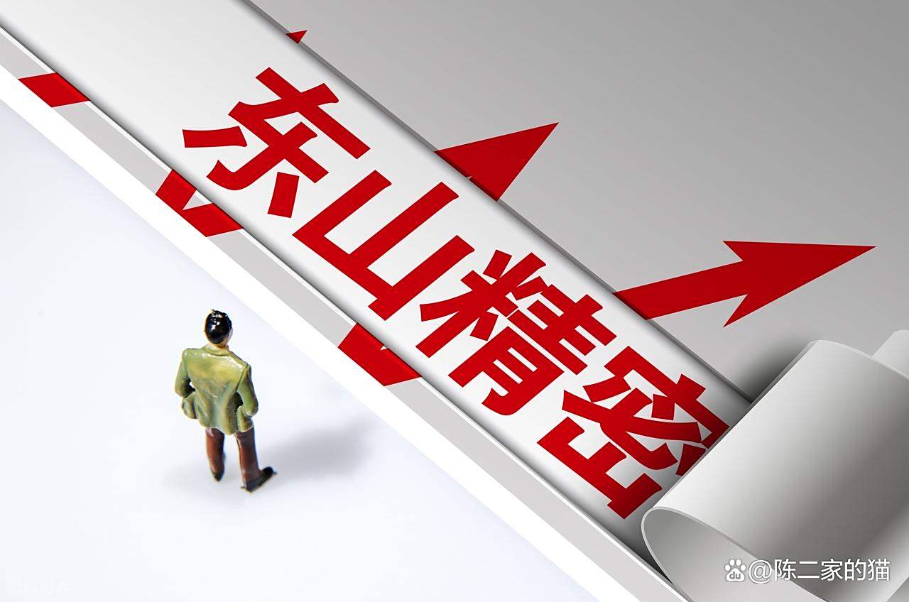 东山精密中报营收增速不足2%,核心产品后劲乏力,豪赌AI赛道资金受考