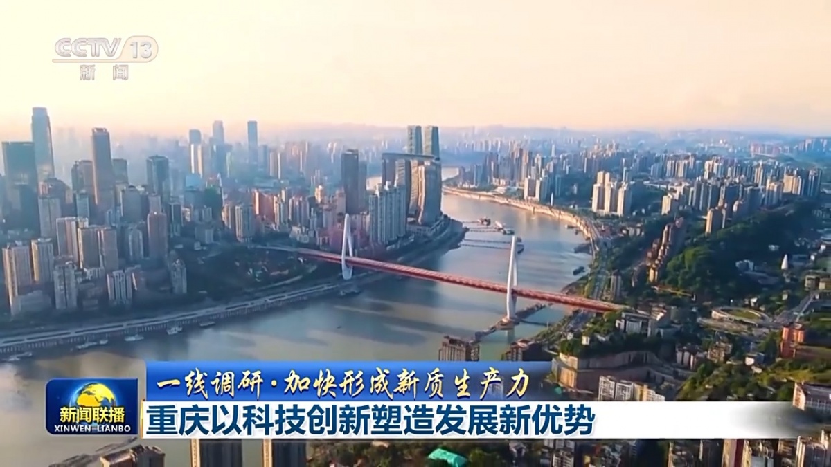 2025年仿真花行业市场深度调研及未来发展趋势_保险有温度,人保伴您前行