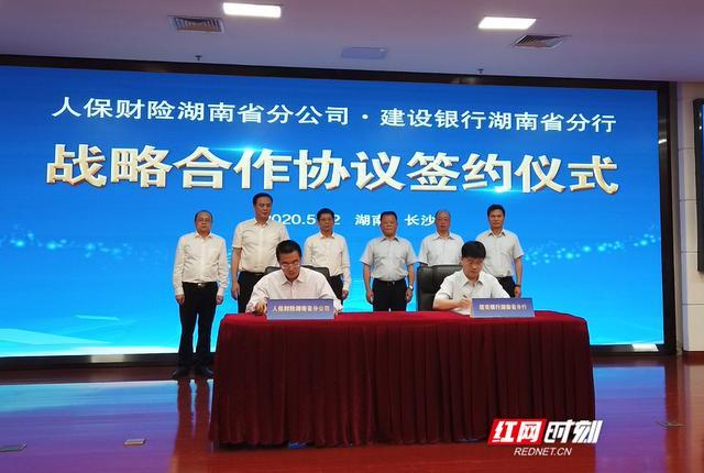 无麸质食品行业现状与发展趋势分析_人保车险,人保财险政银保