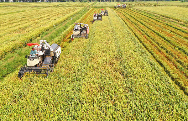 信立泰成交额创2020年7月27日以来新高