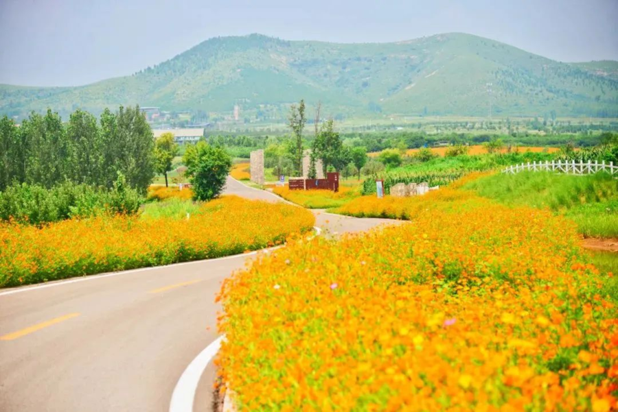 厚植文化根脉 齐鲁乡村铺展“诗和远方”新图景
