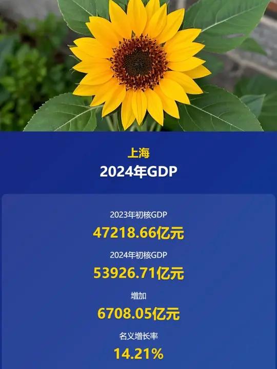 上海今年以来离境退税销售额同比增长83.8% 退税额增长82.9%