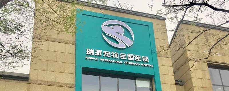 瑞普生物：公司合作开发的非瘟疫苗尚处于研发阶段