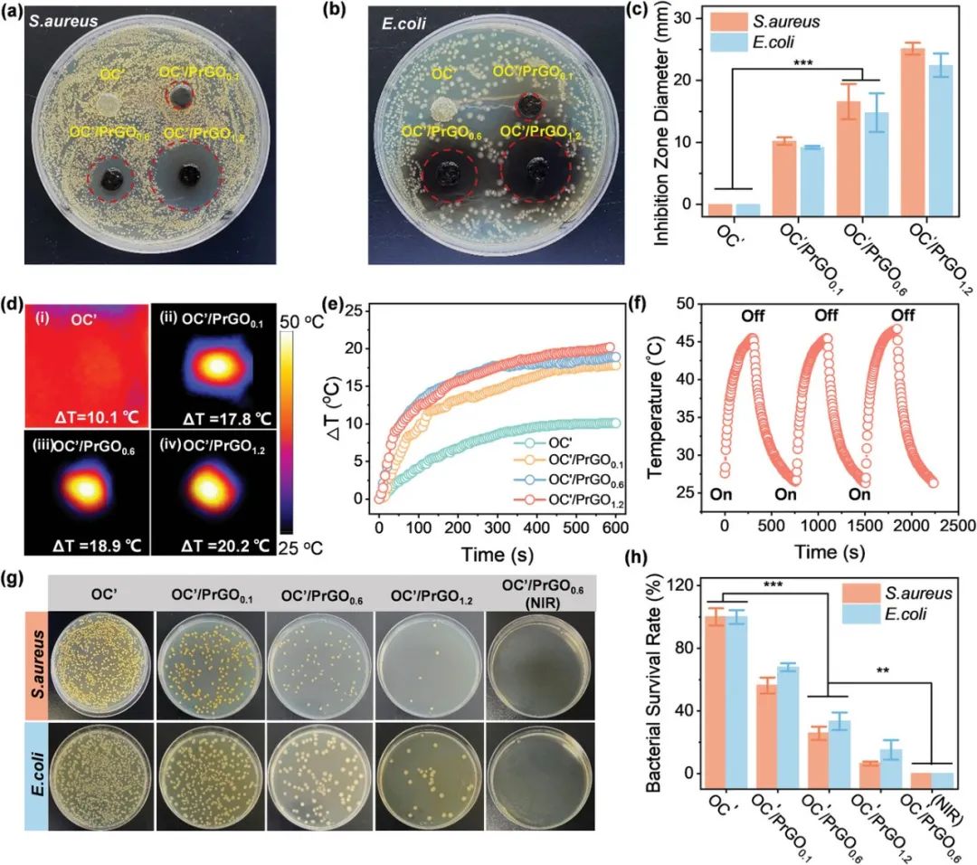 我国科学家研发仿生光热织物，既可秒速升温又能稳定耐用