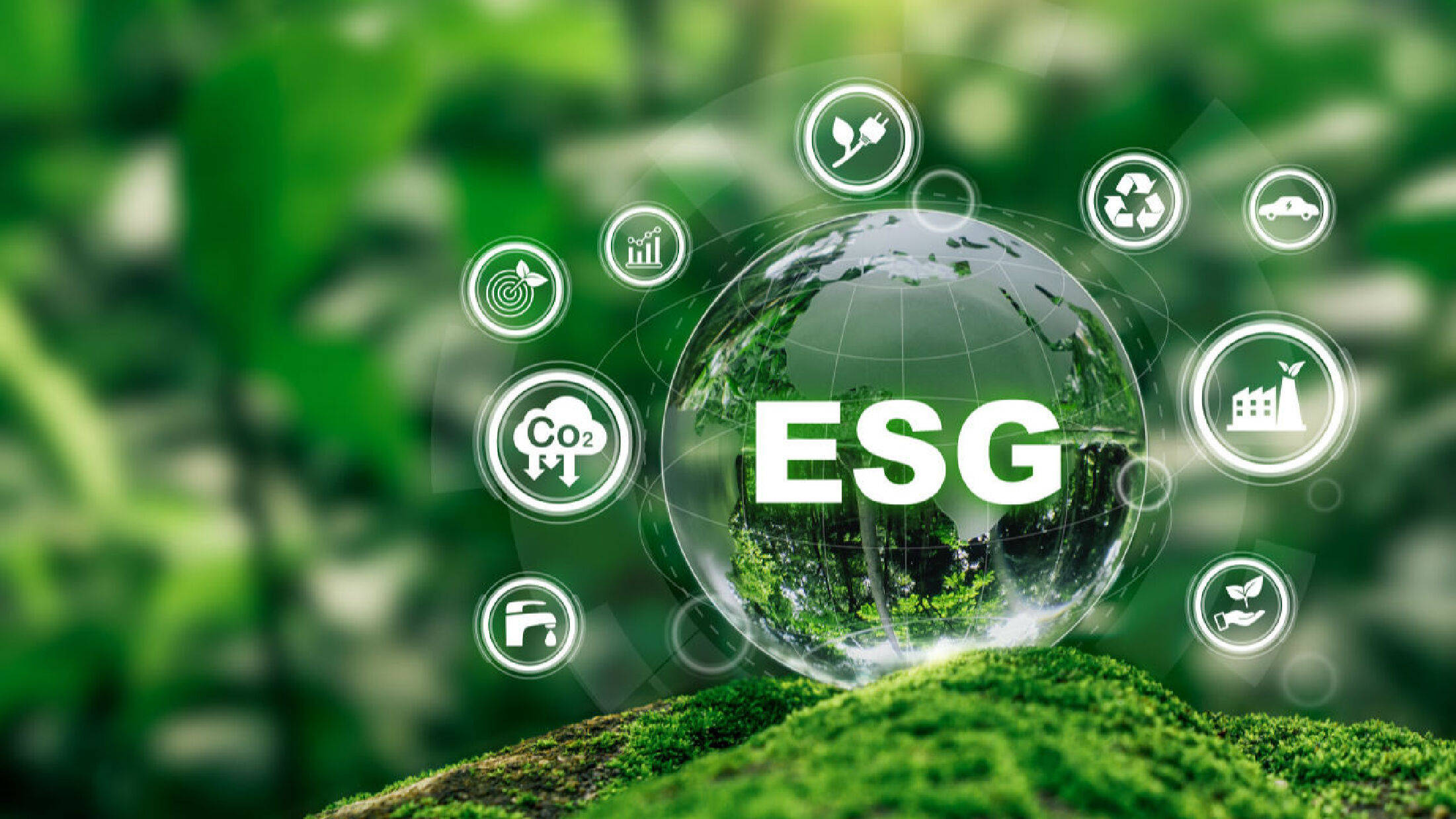 【ESG动态】舜禹股份（301519.SZ）获华证指数ESG最新评级A，行业排名第38