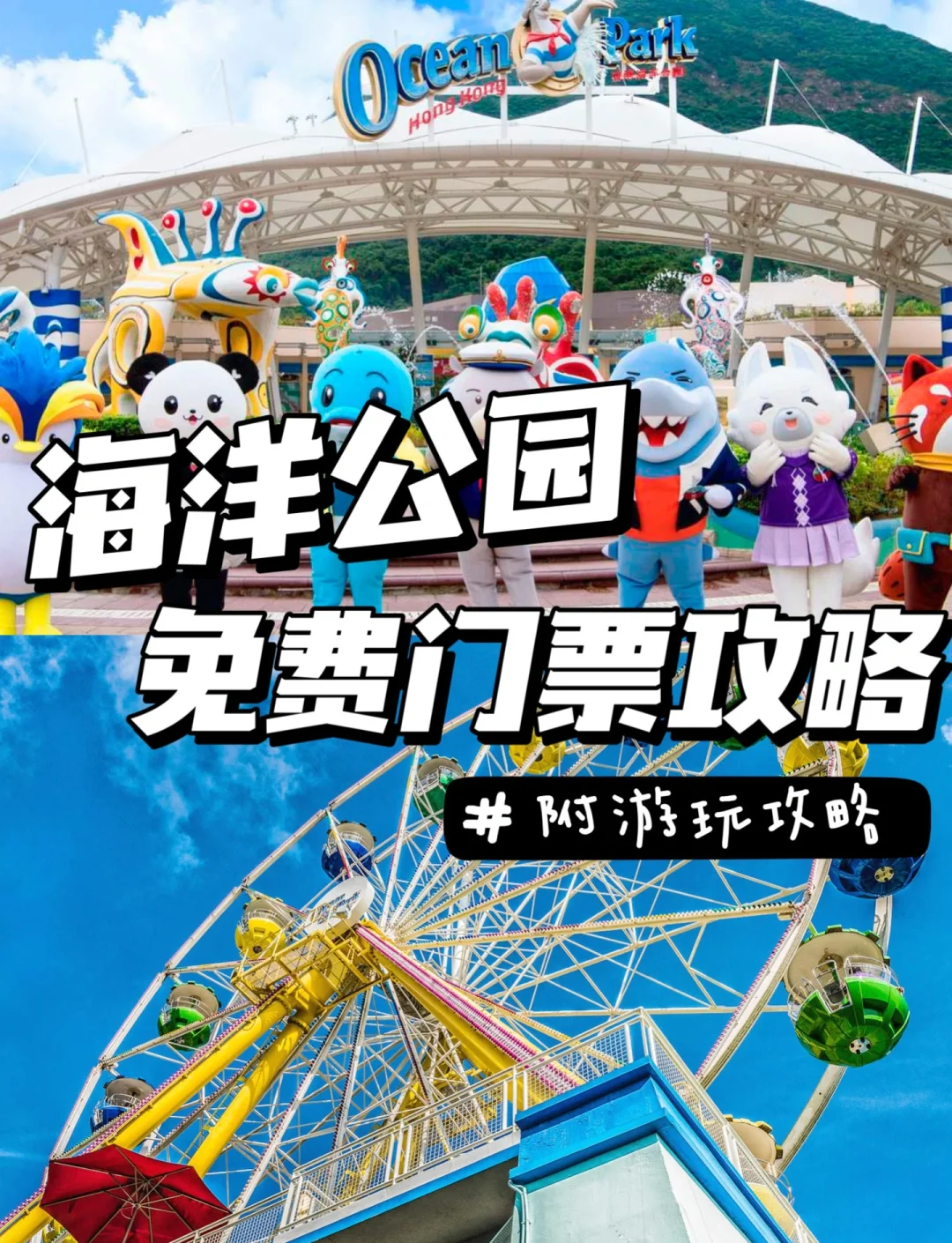 香港海洋公园2024/2025财政年度收入超12亿港元