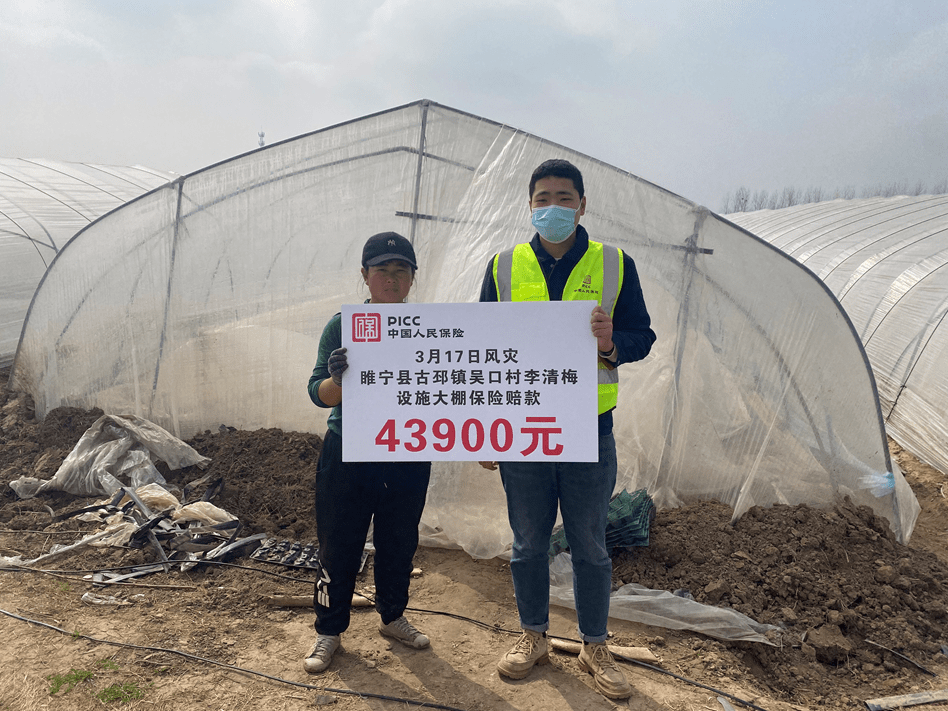 农业数字化行业现状洞察与未来趋势分析_人保财险政银保 ,人保有温度