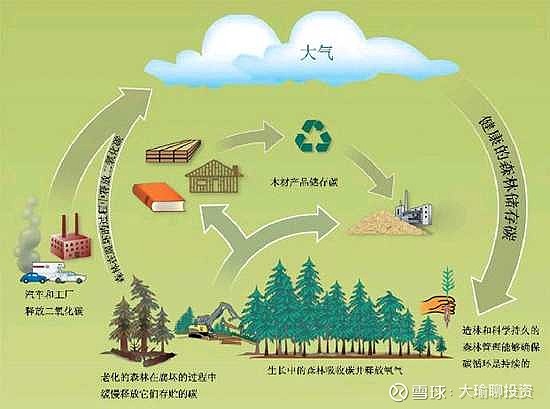 10月27日平潭发展涨停：福建自贸/海西概念，林业，碳中和概念热股