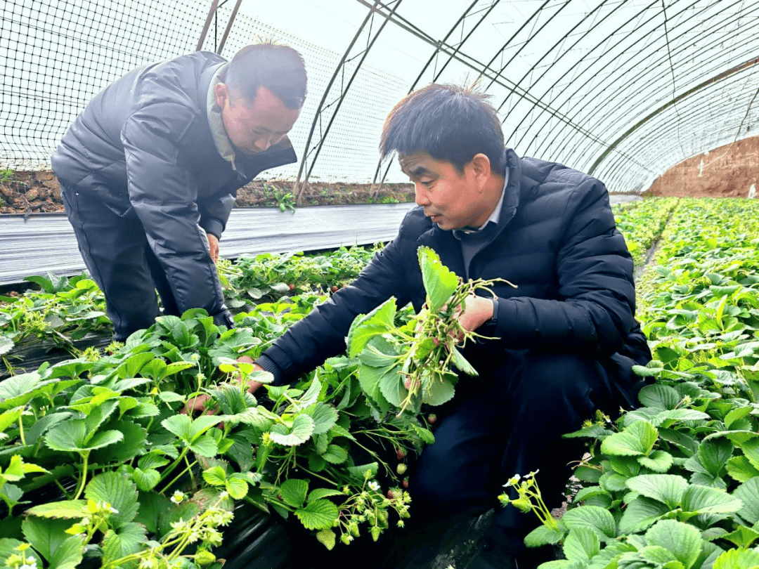 特写：科技与土地的“对话”——杨凌农高会上的观察