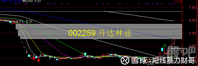 升达林业（002259）2025年三季报简析：营收净利润同比双双增长