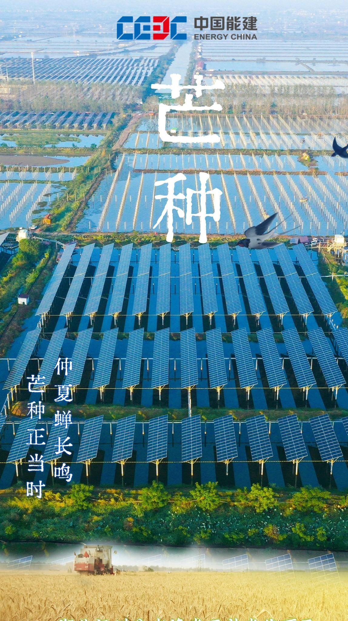 (乡村行・看振兴)山西闻喜:500亩示范田达产 “吨半粮”技术走出试验田