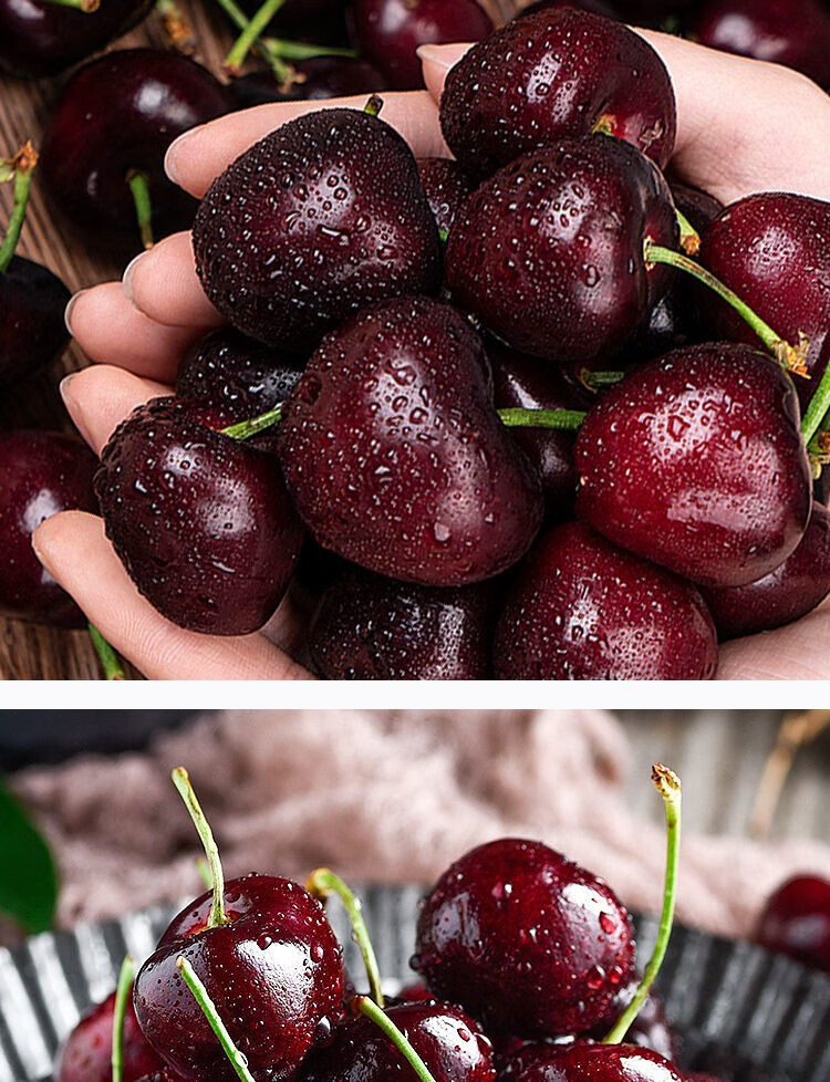 亚洲首座专业货运机场成智利水果入境中国重要门户