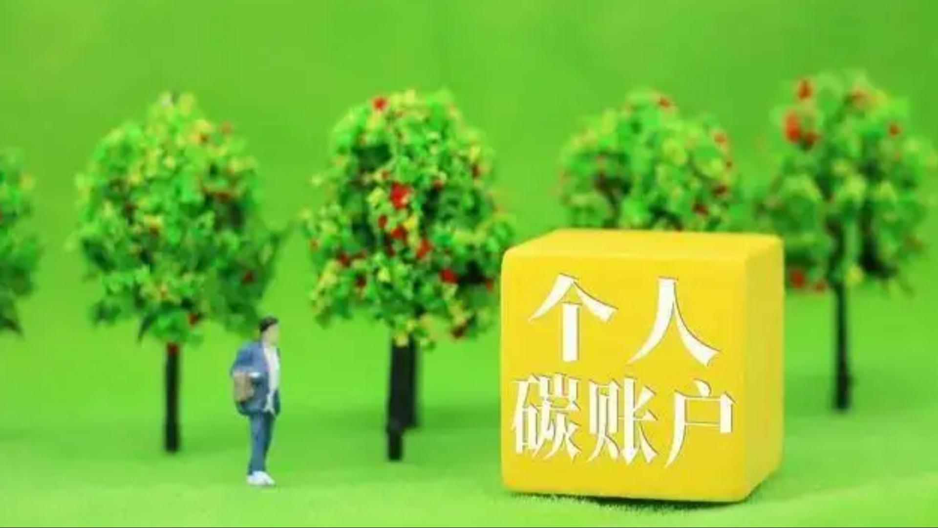 2025-2030年中国普惠金融行业：绿色普惠金融政策红利与碳金融创新_人保服务,人保有温度