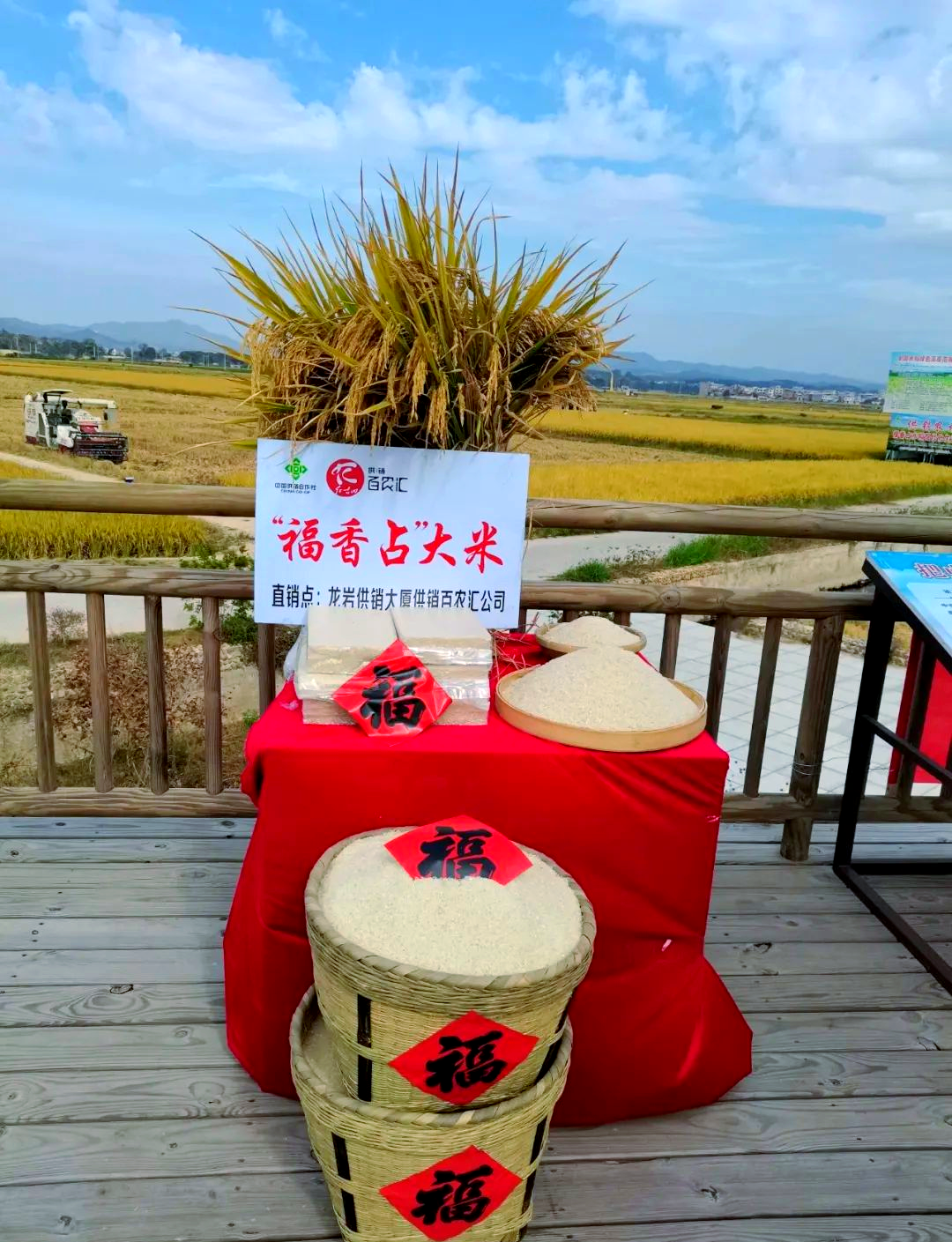 土特产“触网”出山 浙江供销在农博会搭起“云上共富桥”