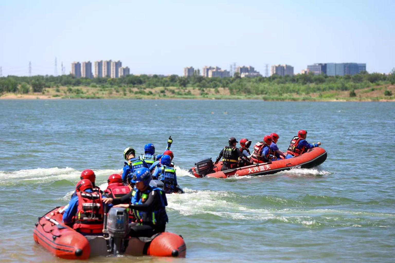 北京密云水库迎候鸟先头部队 多措并举保障顺利迁徙