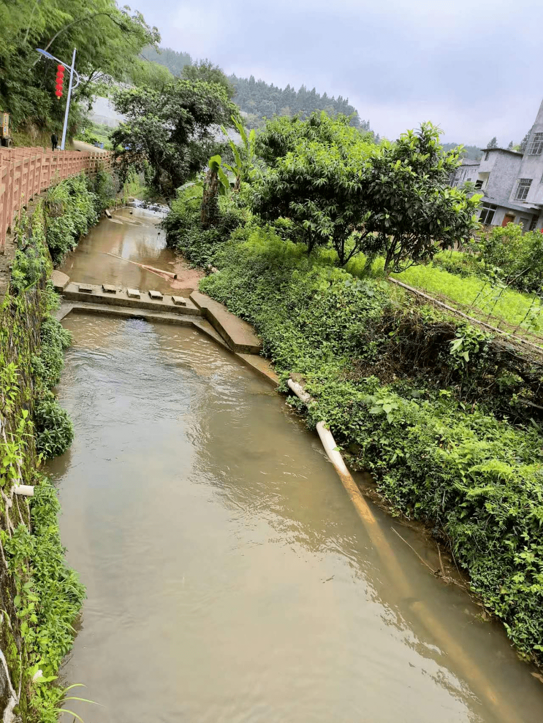 重庆大渡口区茄子溪港长江水体变黑 官方通报:污水已基本切断