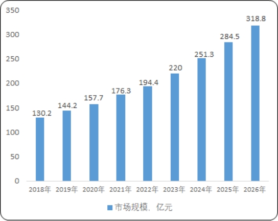 2025蓝牙耳机行业市场深度研究分析_人保车险,人保财险