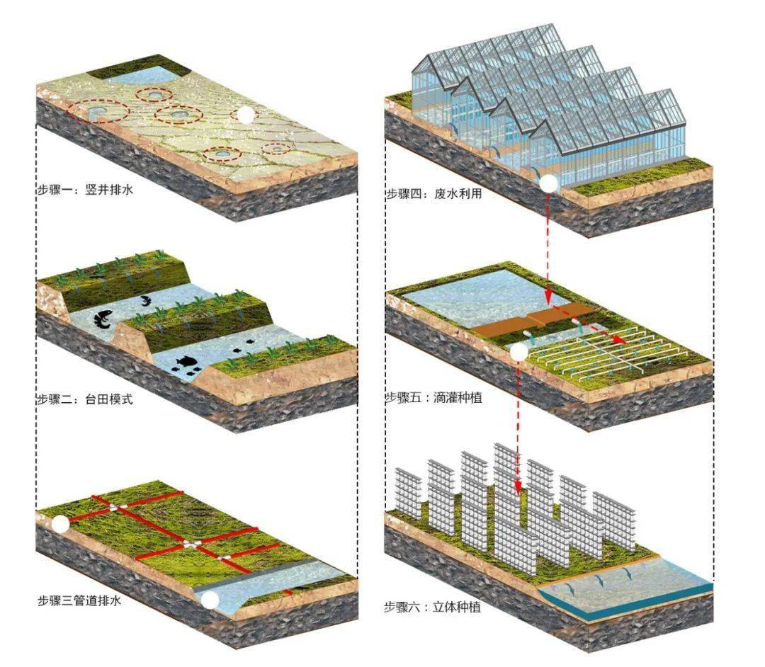 中国科学家获颁格林卡世界土壤奖