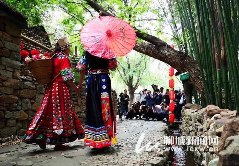 （走进中国乡村）青年赴浙江乡村寻找事业“新可能”