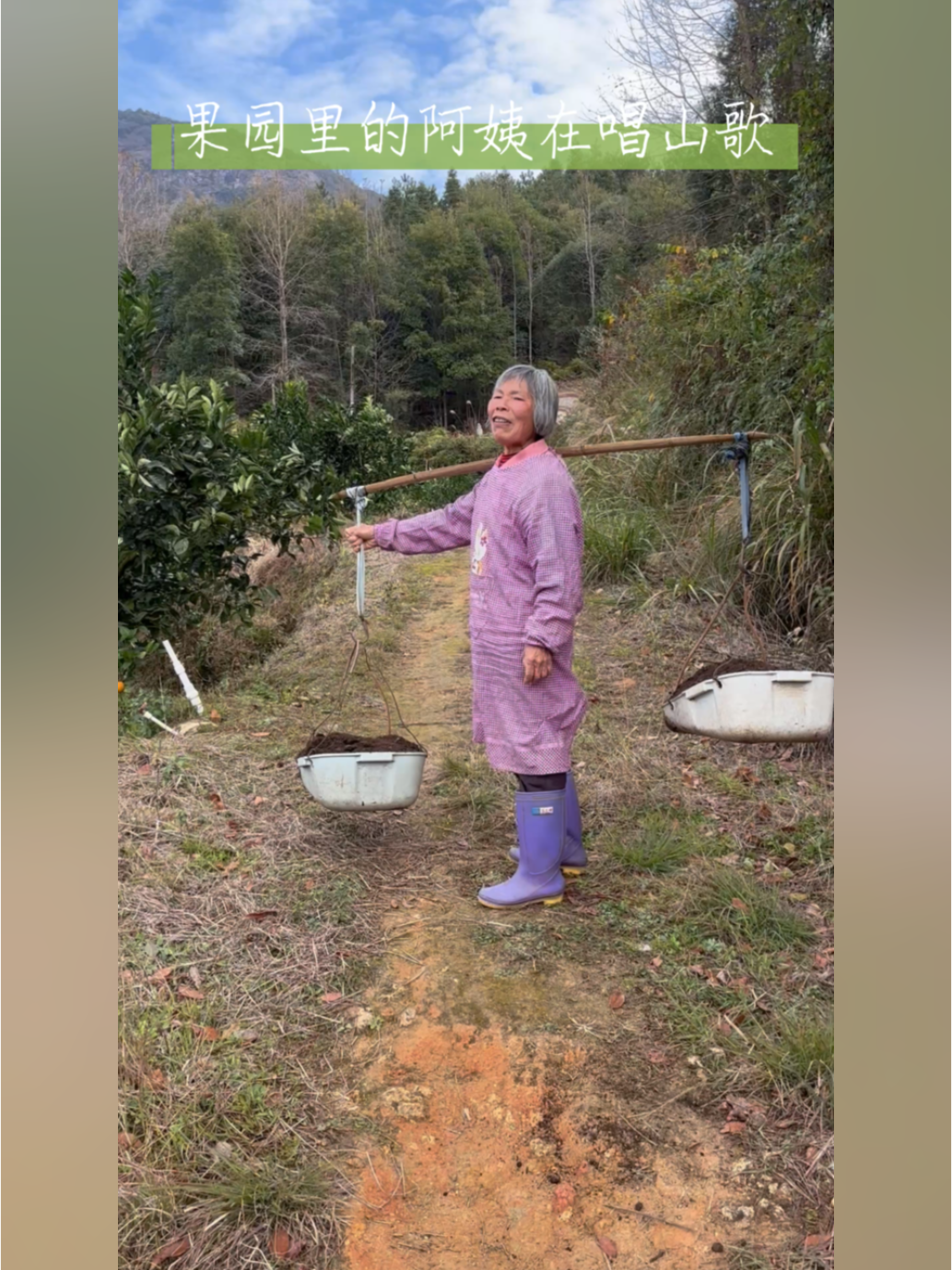 （乡村行・看振兴）统战助力 江西玉山“橙”就富民路