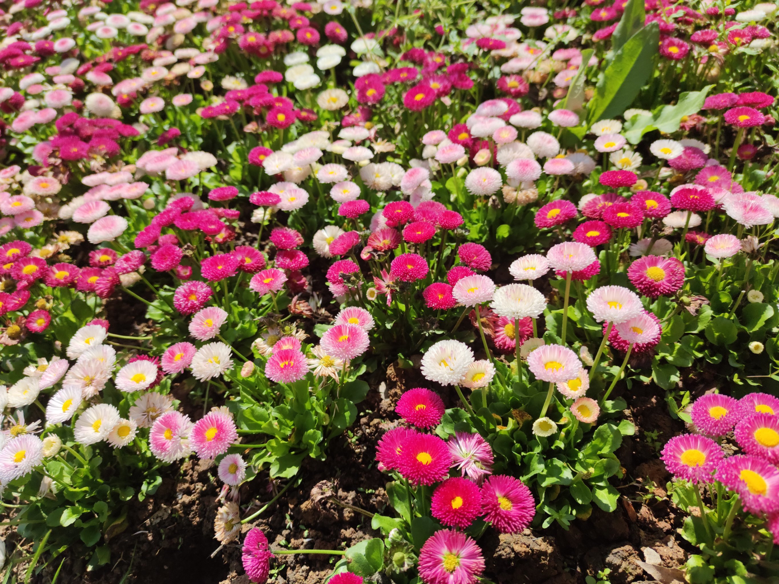 “祥源系”陷百亿兑付危机：浙金中心产品逾期，祥源文旅等三家上市公司股价大跌