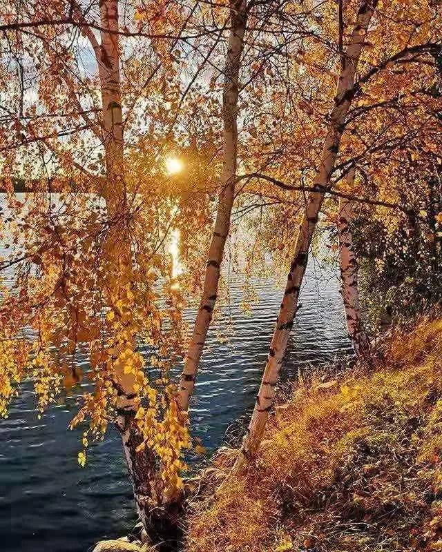 不甘“边缘化”？中部大省“向外求索”