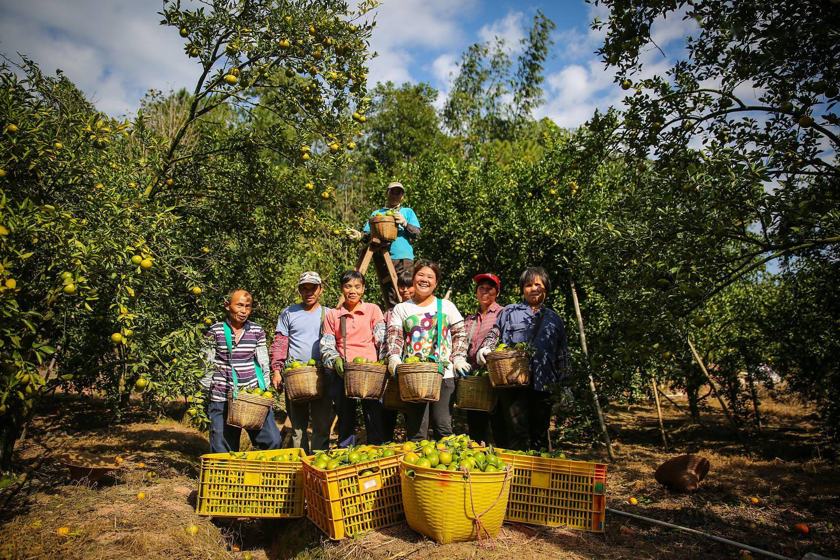 物产金轮：纺织梳理器材主要销往东南亚地区