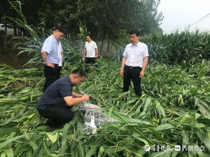 人保服务 ,人保财险 _洗涤剂行业绿色转型与健康消费场景价值重构研究