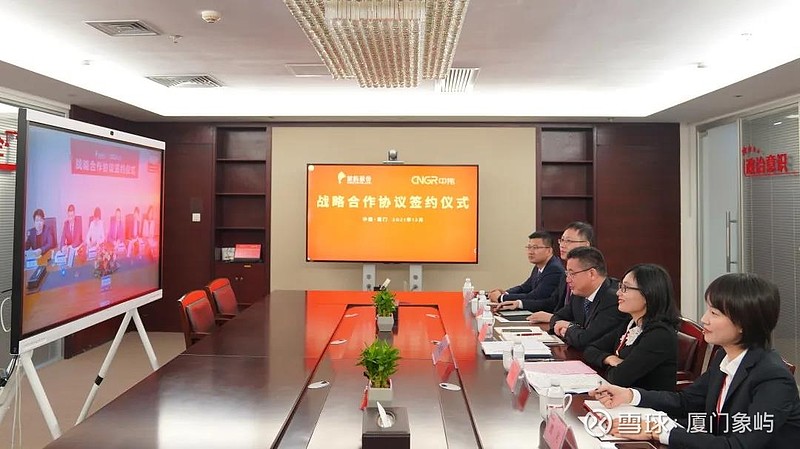 中伟股份:已布局印尼红土镍矿及阿根廷锂盐湖