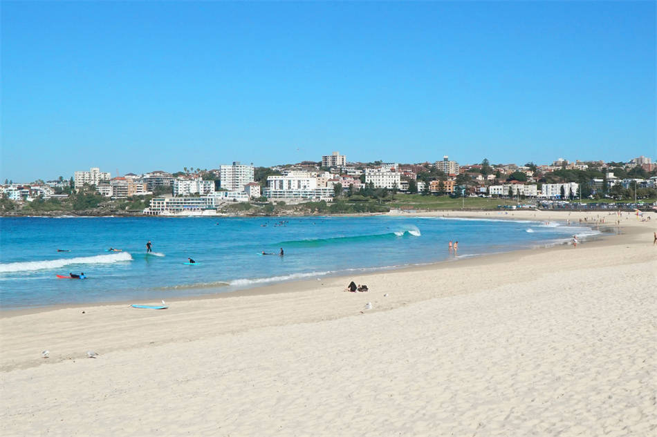 悉尼邦迪海滩枪击事件已致12死29伤