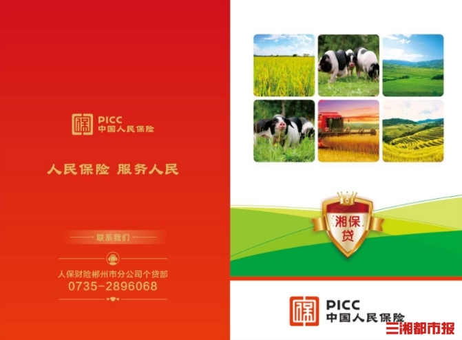 人保车险 品牌优势——快速了解燃油汽车车险,人保财险 _2025中国助听器行业:智能化与个性化重塑产品形态