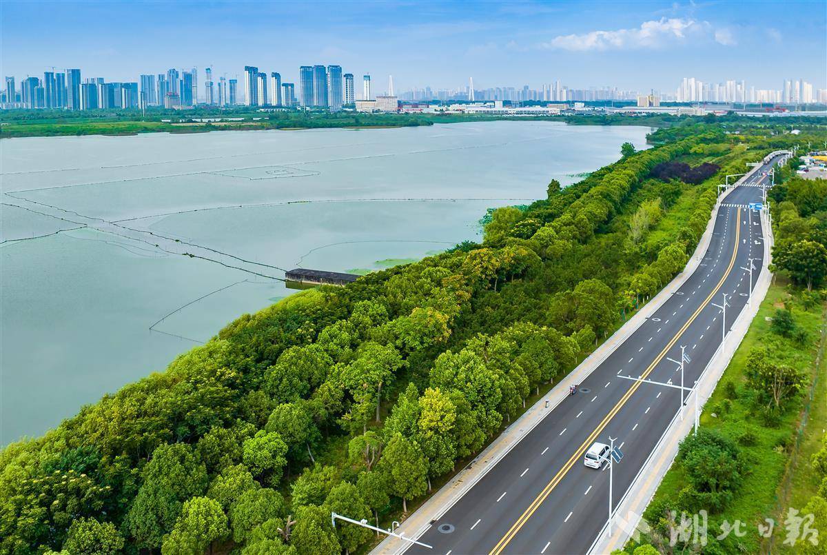 拥有“如意行”驾乘险,出行更顺畅!,人保有温度_2025年蛋白粉行业市场深度调研及发展前景预测