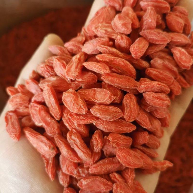 12月18日鹭燕医药涨停：医药商业，福建自贸/海西概念，中药概念热股