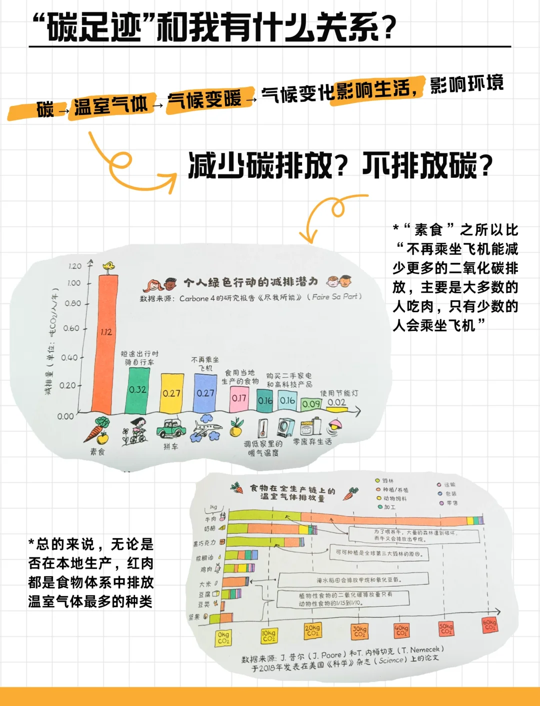 新研究:气候变化和人类活动或致近8000种动物面临灭绝风险