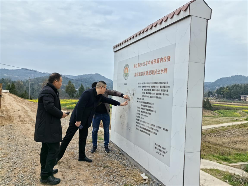 2025饮料包装项目可行性：规模扩张与结构重塑并行_人保财险政银保 ,人保护你周全