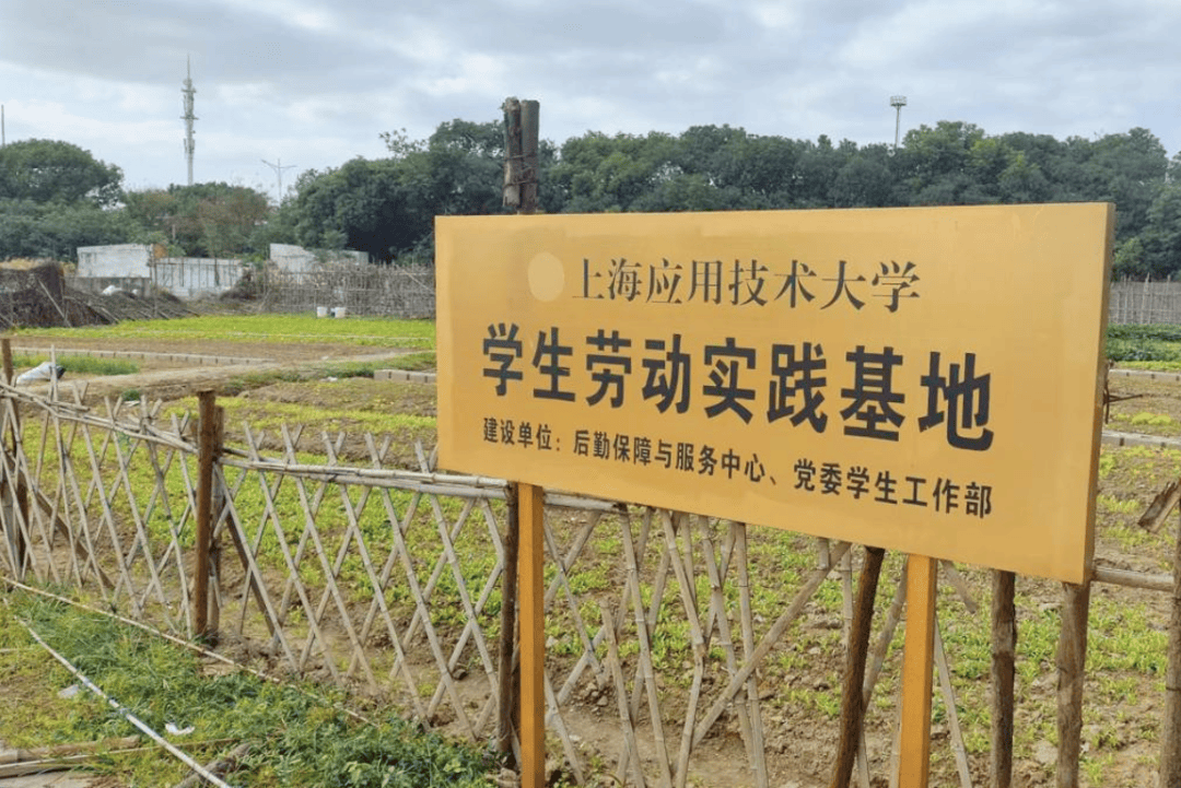 人保财险政银保 ,人保财险 _2026-2030年中国毛巾行业:细分场景与人群精准定位投资图谱