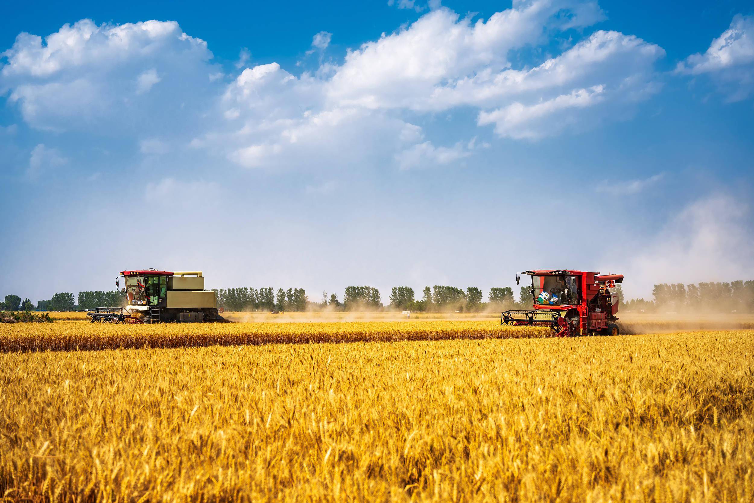 三部门：鼓励符合条件的金融机构发行“三农”专项金融债券