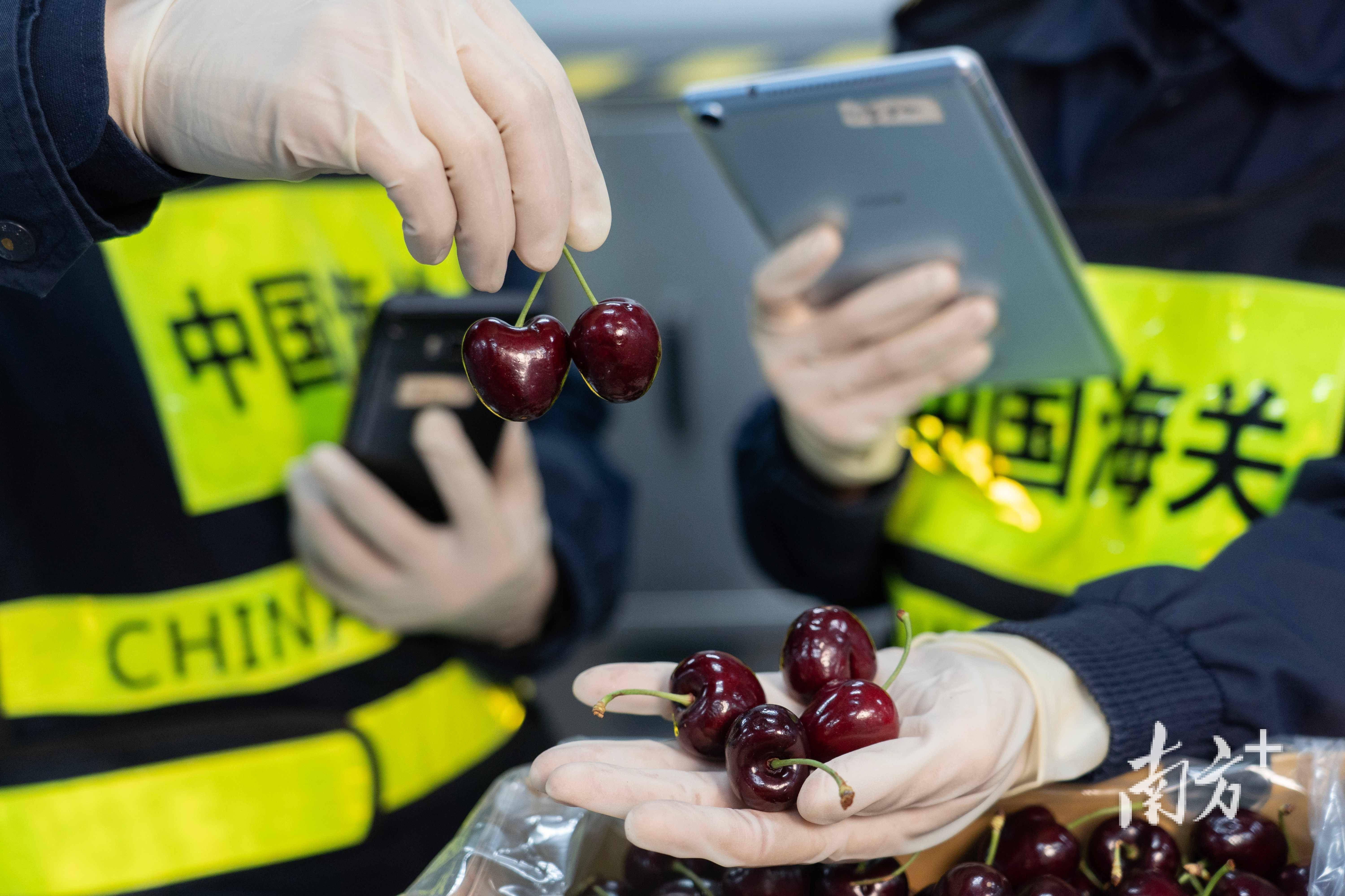 “十四五”东莞外贸总额年均保持在1.3万亿元以上