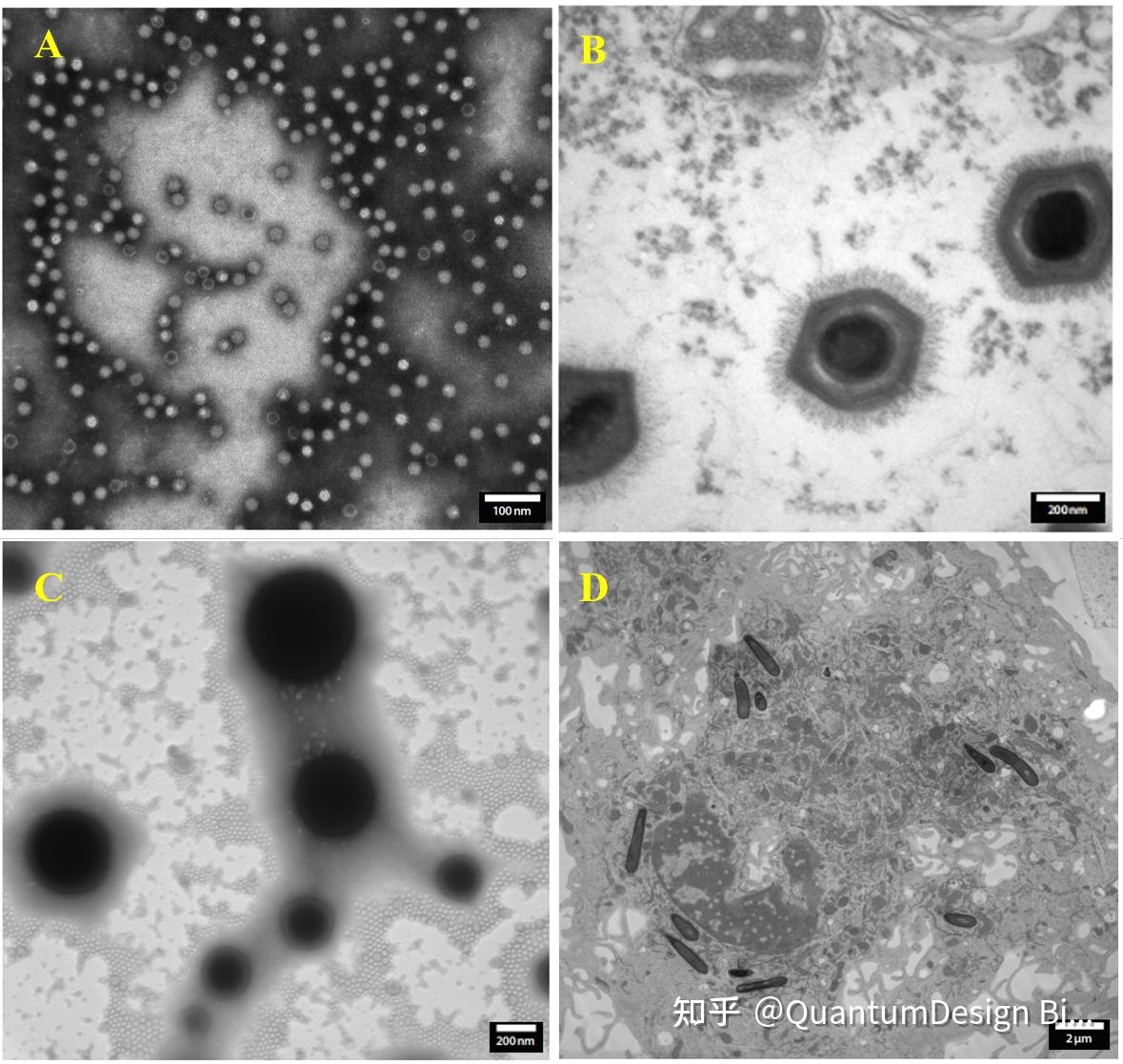 龙钇科技（831879）：拟设立赣州龙钇斯年纳米超微新材料有限公司