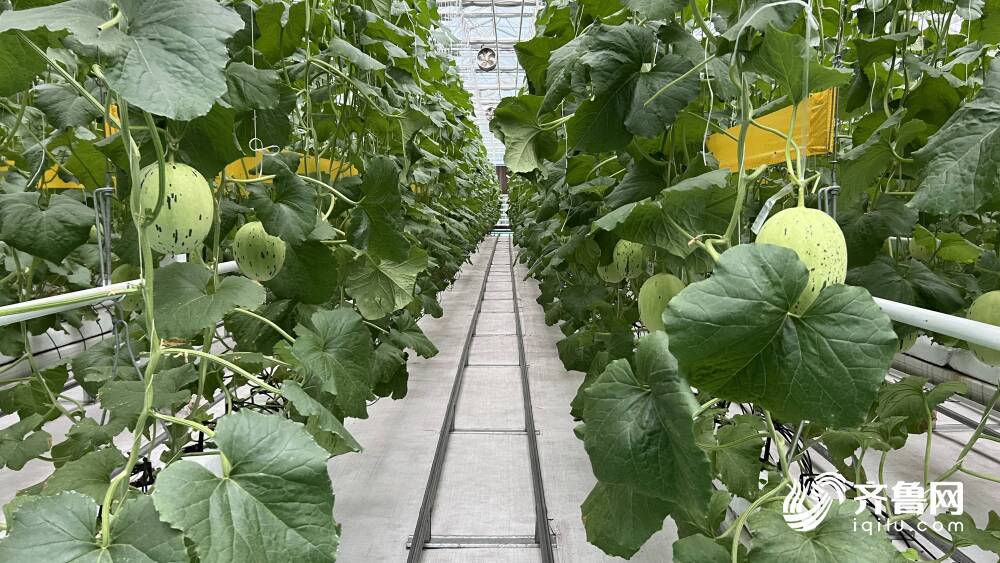 佰惠生(835409):水发农业集团有限公司拟减持约1.01亿股股份