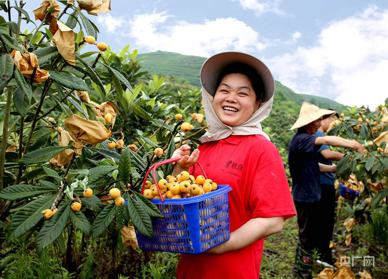 （乡村行・看振兴）“蜂”舞山乡 江西赣县酿就乡村振兴“甜蜜路”