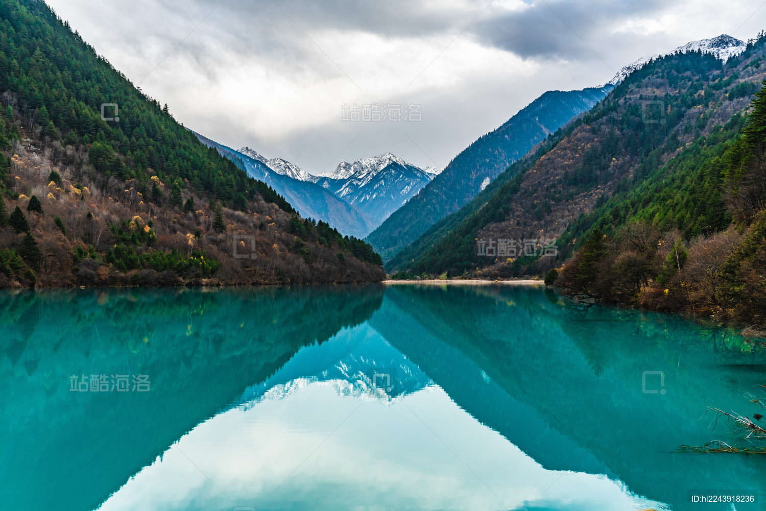 四川阿坝州赴穗开展投资推介 8个签约项目金额50.9亿元