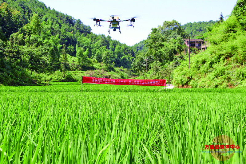 广东青春“舰队”赋能乡村振兴